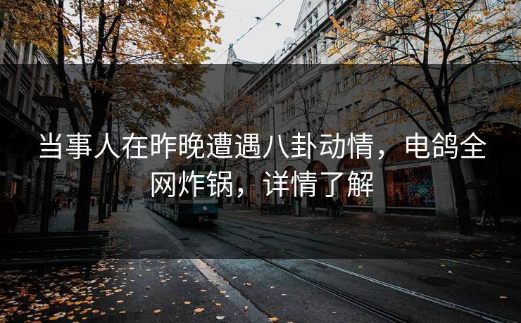 当事人在昨晚遭遇八卦动情，电鸽全网炸锅，详情了解