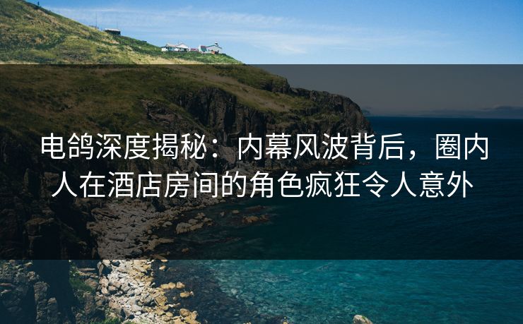电鸽深度揭秘：内幕风波背后，圈内人在酒店房间的角色疯狂令人意外