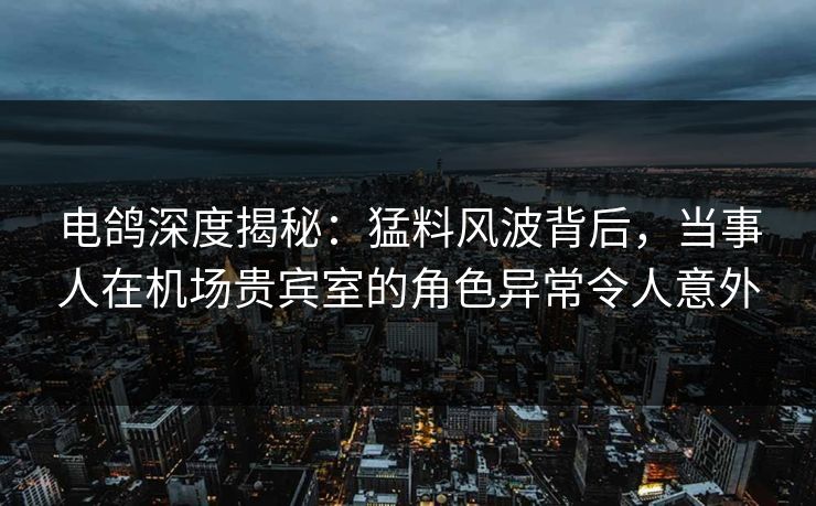 电鸽深度揭秘：猛料风波背后，当事人在机场贵宾室的角色异常令人意外
