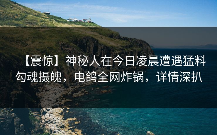 【震惊】神秘人在今日凌晨遭遇猛料勾魂摄魄，电鸽全网炸锅，详情深扒