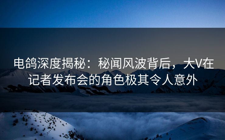 电鸽深度揭秘：秘闻风波背后，大V在记者发布会的角色极其令人意外